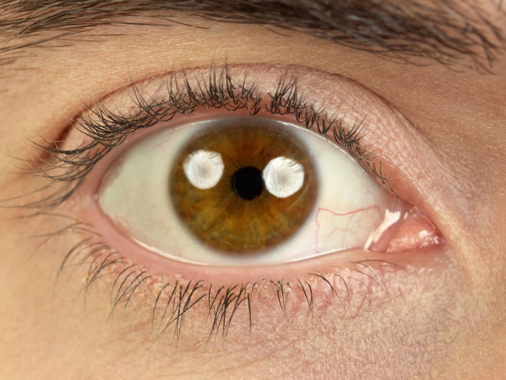 Close up of a brown eye